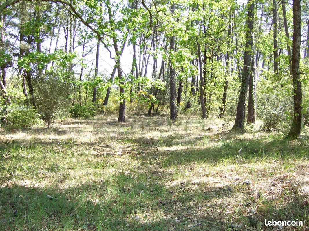 Vends terrain de loisirs · à Soulac-sur-Mer · 12 000 €