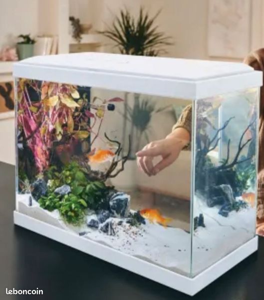 Aquarium Fresh 40 Pure Family – complet – 50 (image 2)