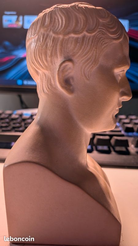 Moulage Buste de Napoléon 1er (image 2)