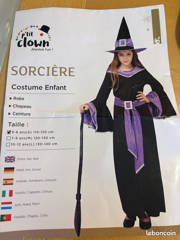 Déguisement sorcière Halloween (image 1)