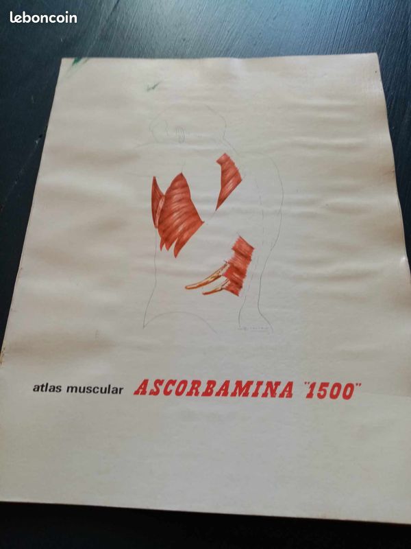 Atlas musculaire de l ascorbamine 1500 (image 1)