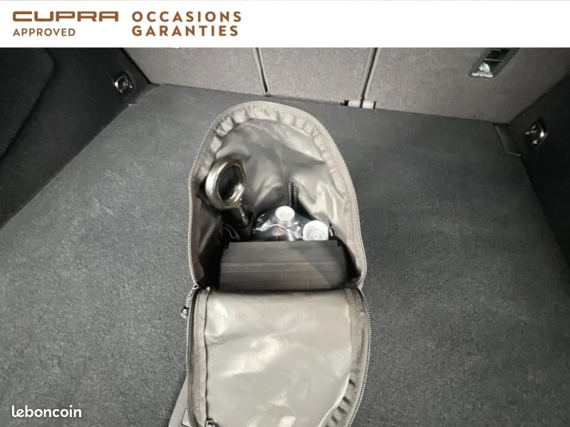 Cupra Terramar 1.5 eHybrid 272ch Tribe Edition DSG6 (image 17)