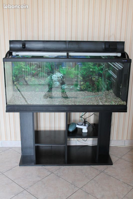 Aquarium (image 1)
