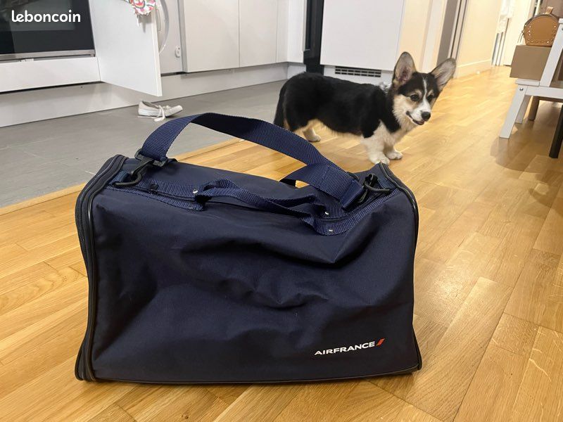 Bagage Cabine Sac Transport Chat Air France Sac Transport Chien