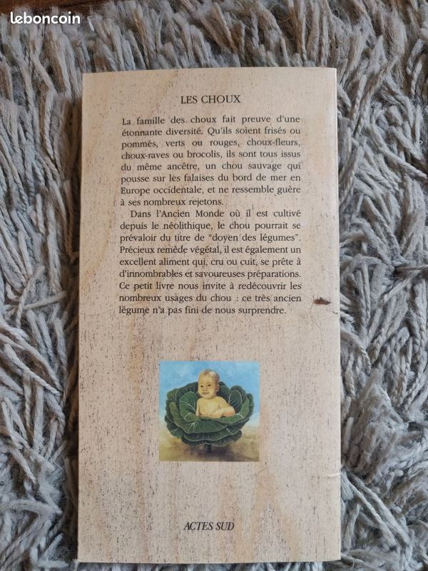 Chroniques du potager - Les choux (image 3)