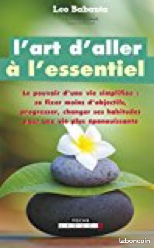 L’art d’aller à l’essentiel Léo Babauta (image 1)