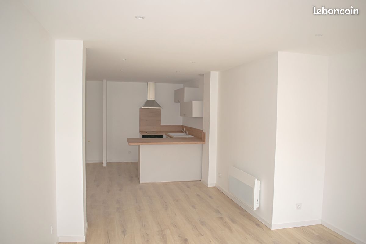 Appartement 2 pièces 56 m² · à Saint-Étienne · 56 m² · 690 €