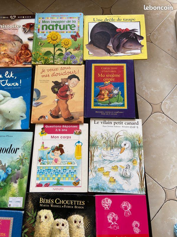 Livres enfant jeunesse (image 5)