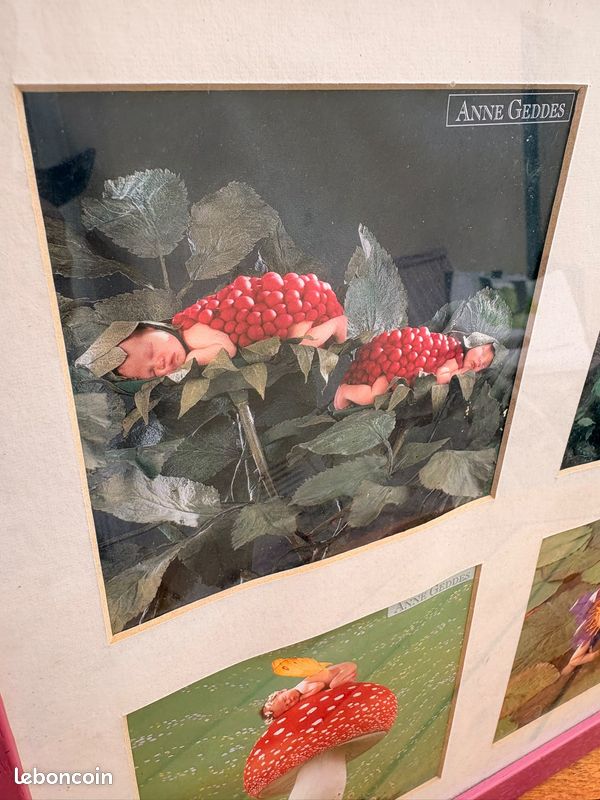 Tableau cadre pêle-mêle Anne Geddes (image 4)
