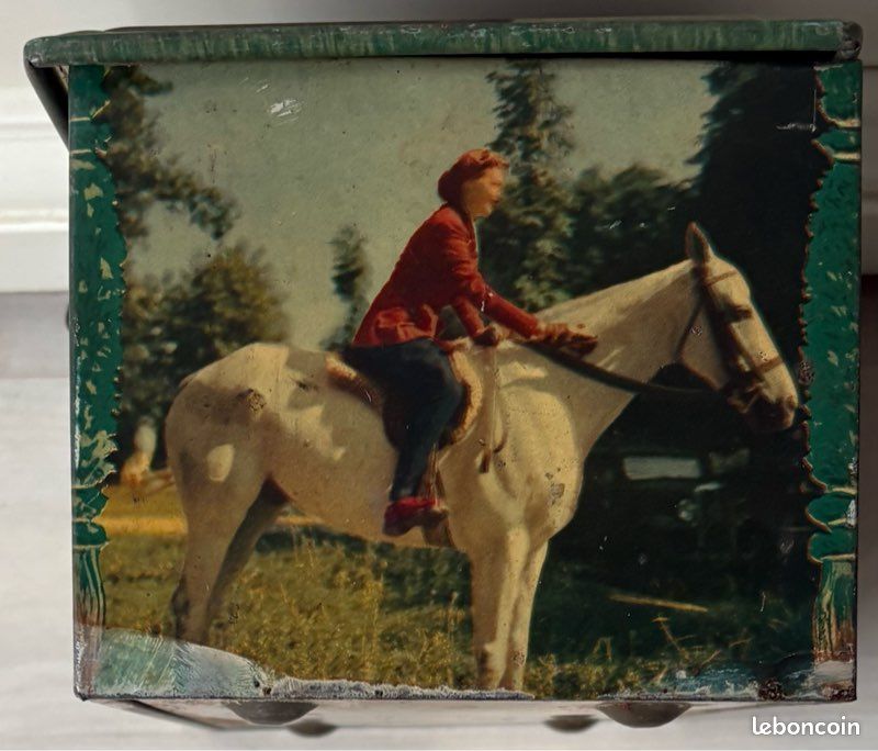 Bridon d'Équitation Western avec Finitions Argent