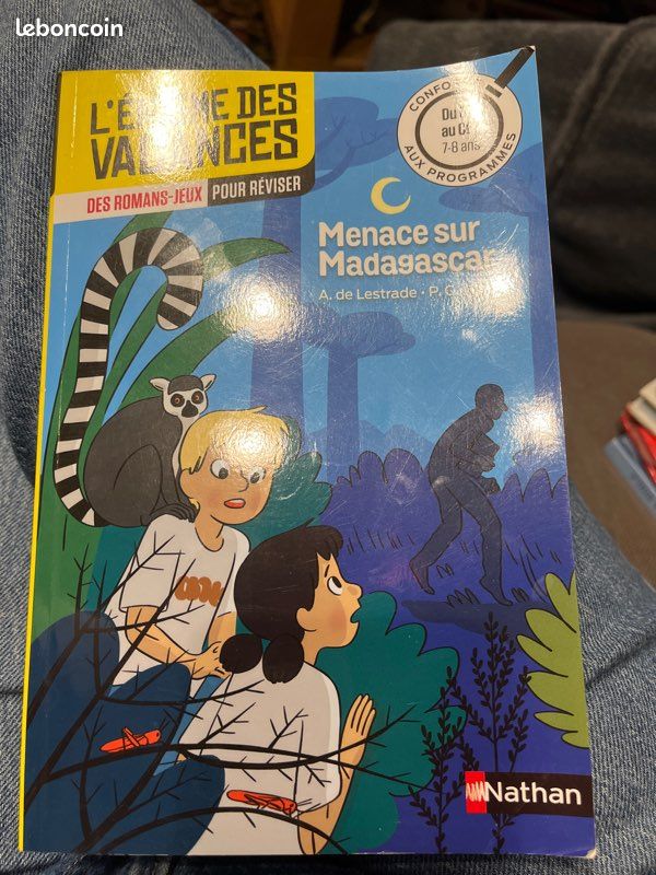 L énigme des vacances du CE1 au Ce2 (image 1)
