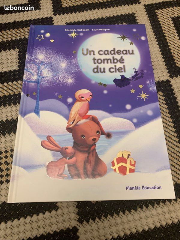 Un cadeau tombé du ciel (image 8)
