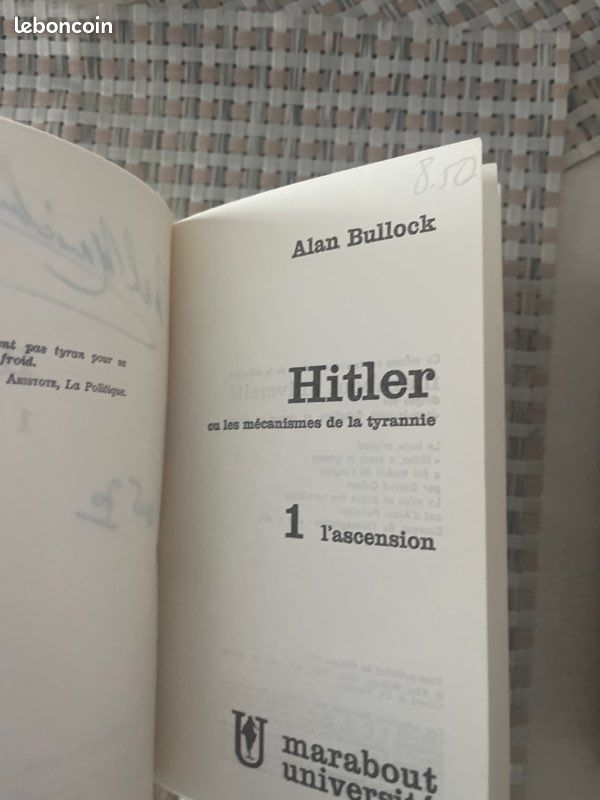 Hitler (image 6)