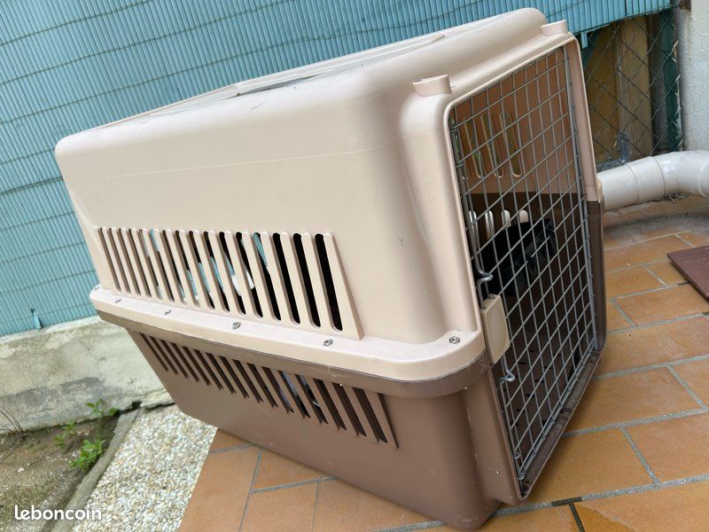 Cage transport chien (image 2)