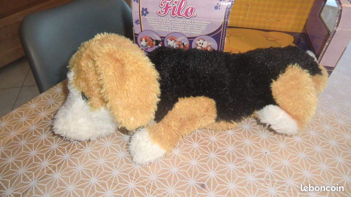 Chien filo fureal (image 2)