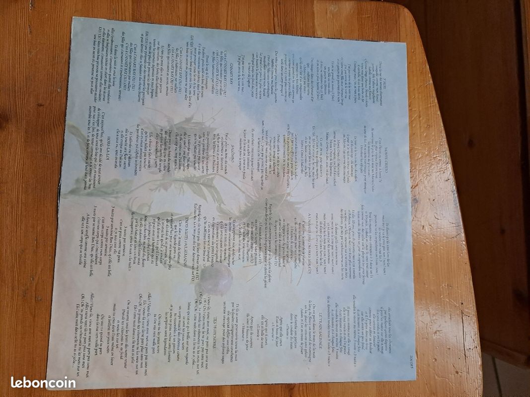 Vinyle Indochine 33T (image 6)