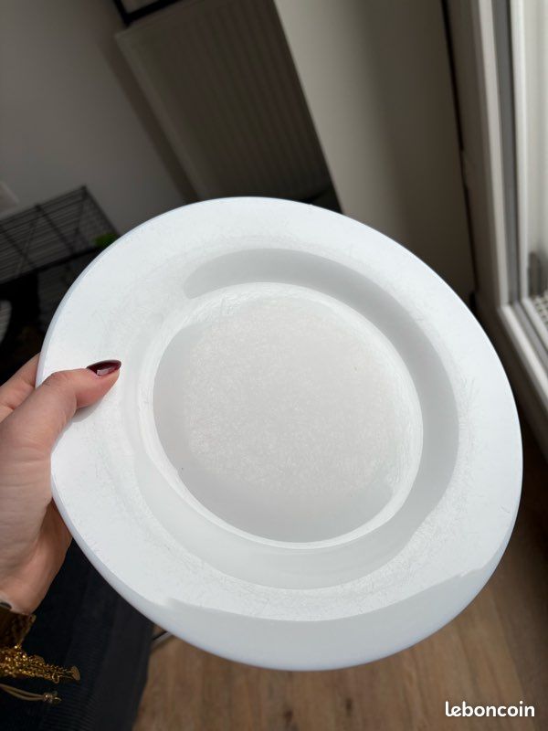 Lot de 10 assiettes (image 3)