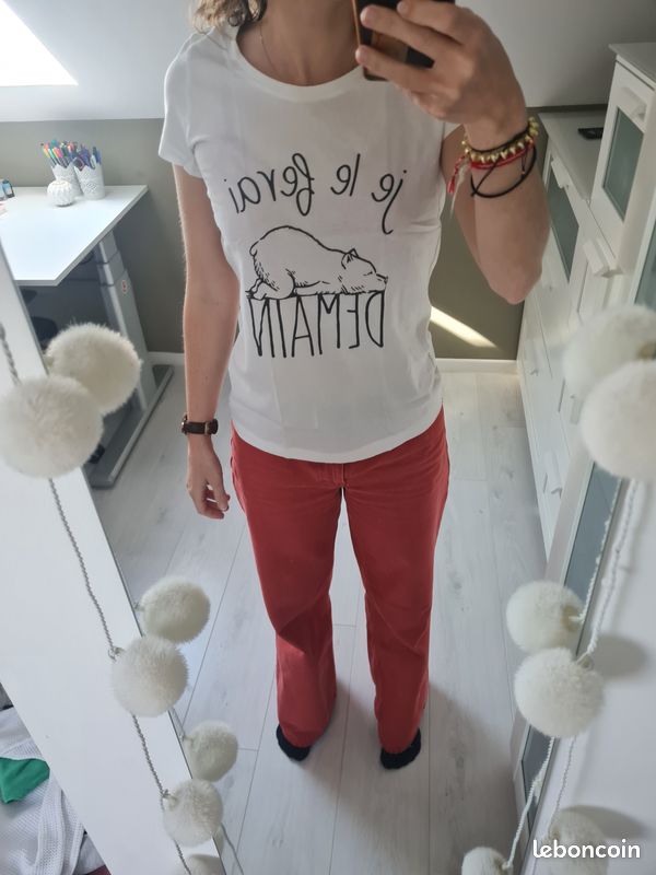 Tee shirt - Je le ferai demain (image 1)
