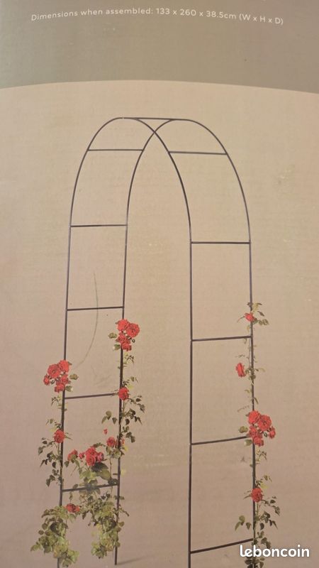 Arche de fleurs (image 1)