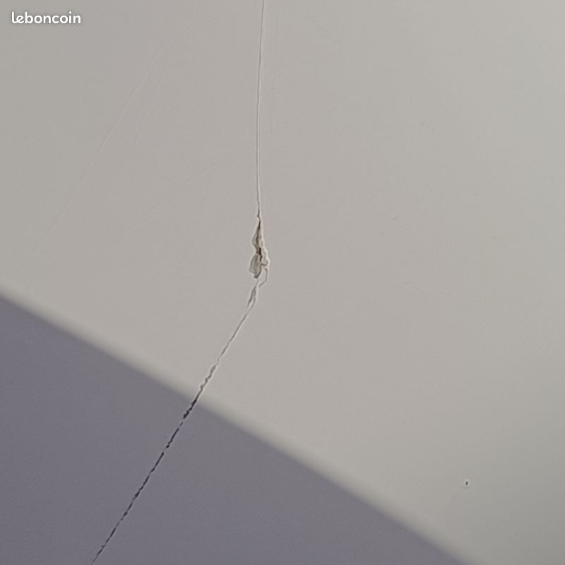 Double vasque (image 3)