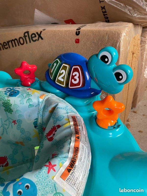 Sauteur baby Einstein (image 3)