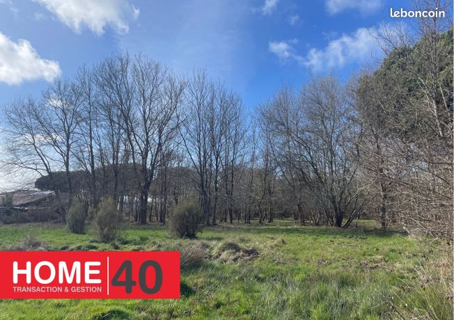 Terrain 11653 m² Sanguinet
