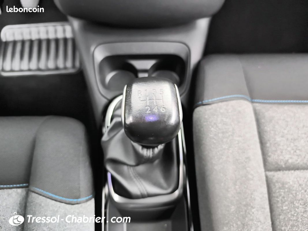 CITROEN C4 Cactus BlueHDi 100 S&S BVM6 Shine (image 12)