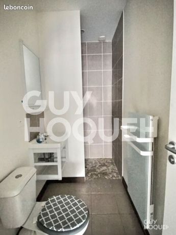 https://img.leboncoin.fr/api/v1/lbcpb1/images/95/3d/b3/953db3d8b5d79f1d2379d31d5dad1688596542c0.jpg?rule=ad-image