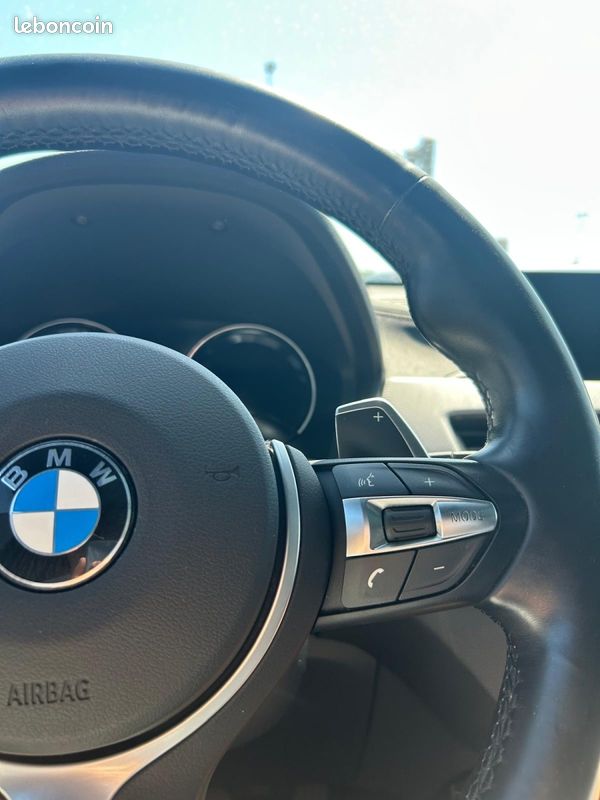 Bmw X2 xDrive20d M Sport X BVA8 (image 20)