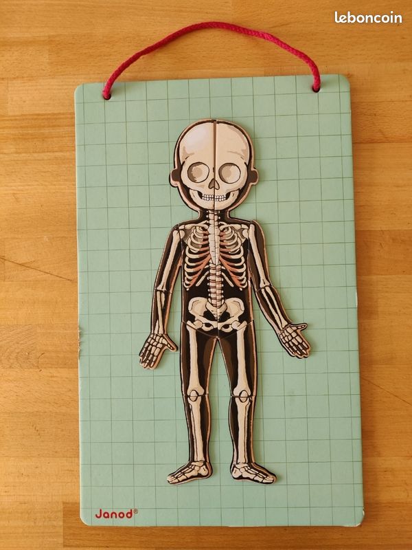 Puzzles magnétiques - Science de l'anatomie - Le corps humain | JOUETS