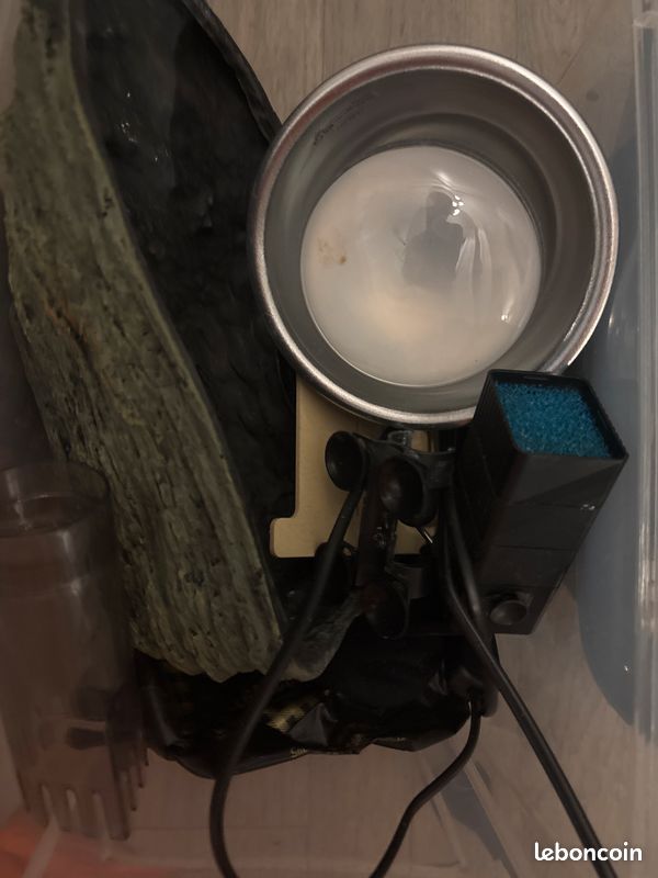 Aquarium terrarium (image 3)