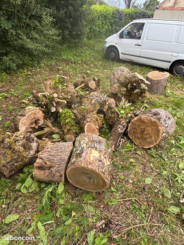 À donner bois (image 1)