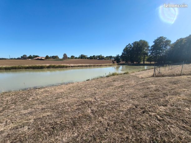 Etang