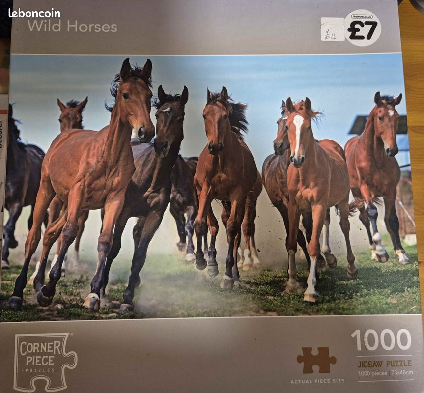Divers puzzles 1000 Pièces (image 5)