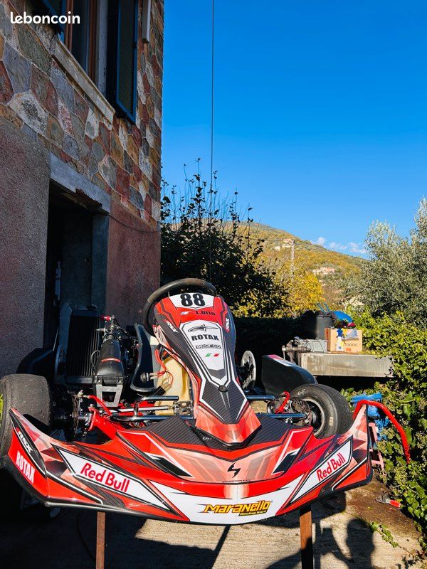 Karting rotax Max 125 (image 1)