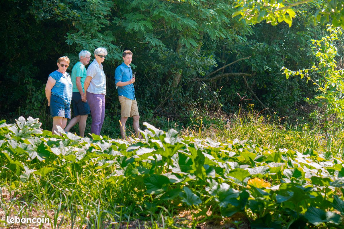 Formation potager biologique - été 2026 (image 4)