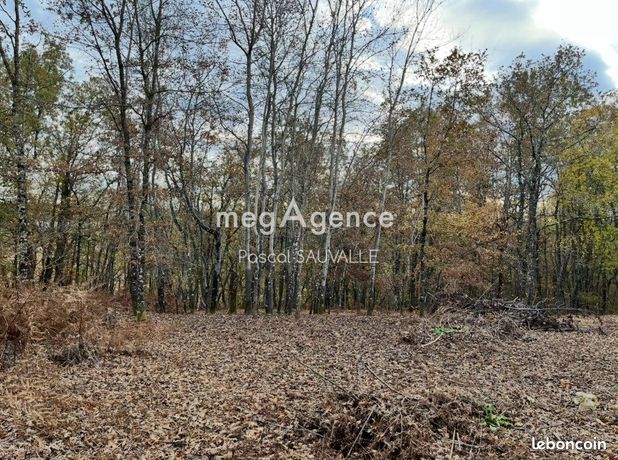 Terrain 2200 m² SAINT-MICHEL-DE-VILLADEIX