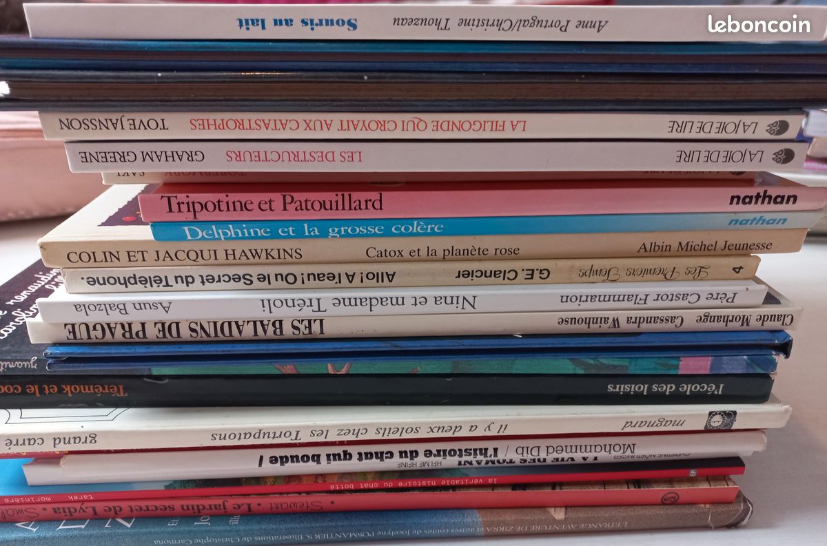 Lot de livres enfants (image 1)