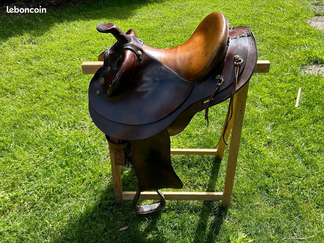 Selle australienne (image 2)
