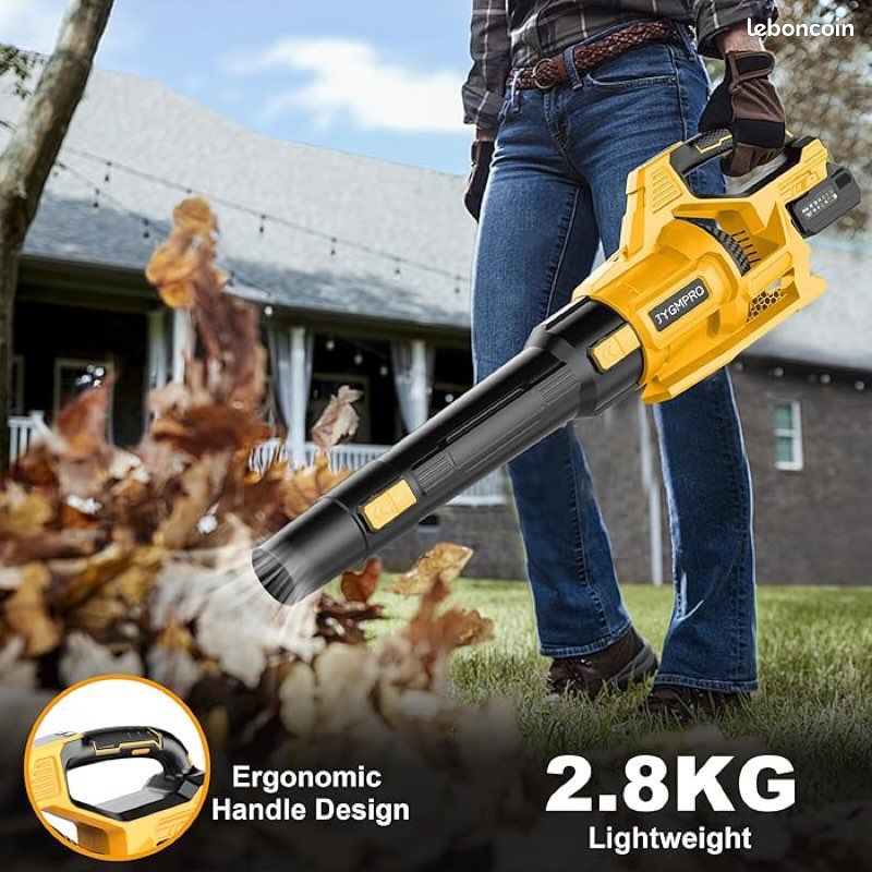 Souffleur De Feuilles 21V Avec 2 Batteries 3.0Ah - 800W, 210 Km/h, 2 Vitesses, Léger Pour Jardin, Dépoussiérage & Neige