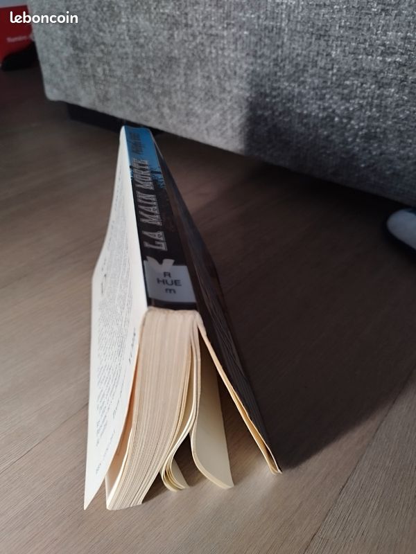 Roman La main morte (image 5)