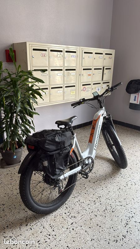 Vélo électrique Avec accélérateur (image 2)