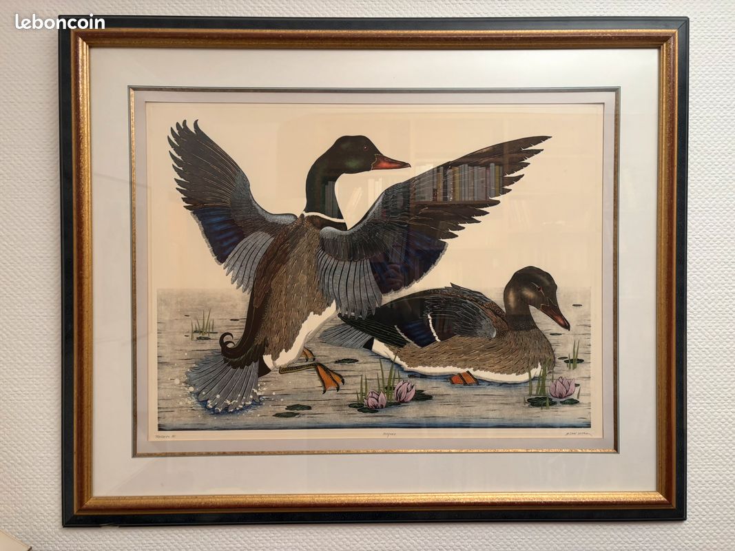 Tableau Canards grand format (image 1)