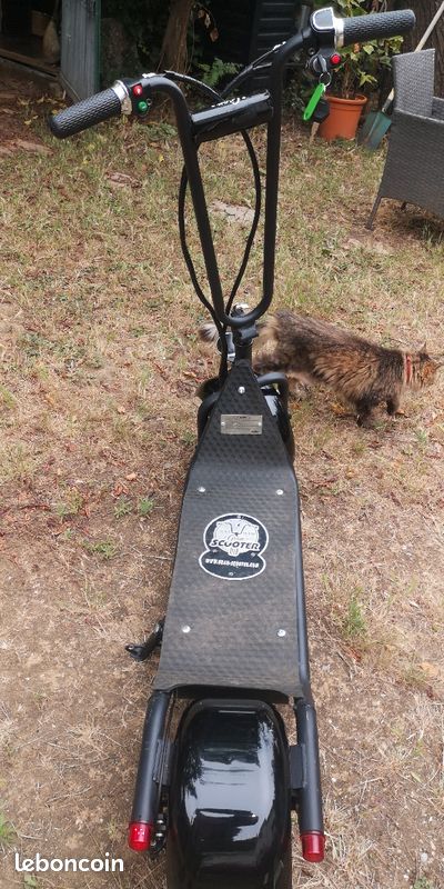 Trottinette électrique gran-scooter 580w (image 3)