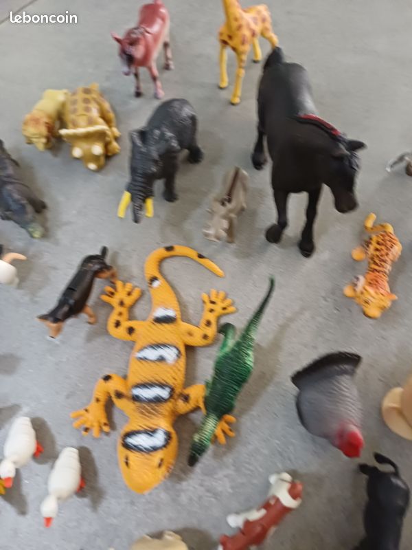 Grand nombre de petits animaux (image 8)