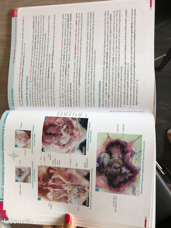 Livre de Prépa BCPST TP Biologie (image 3)