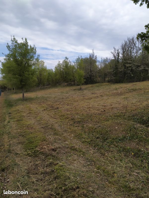 Terrain constructible · à Albas · 45 000 €