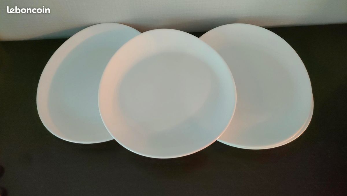 4 grandes assiettes à steack (image 1)