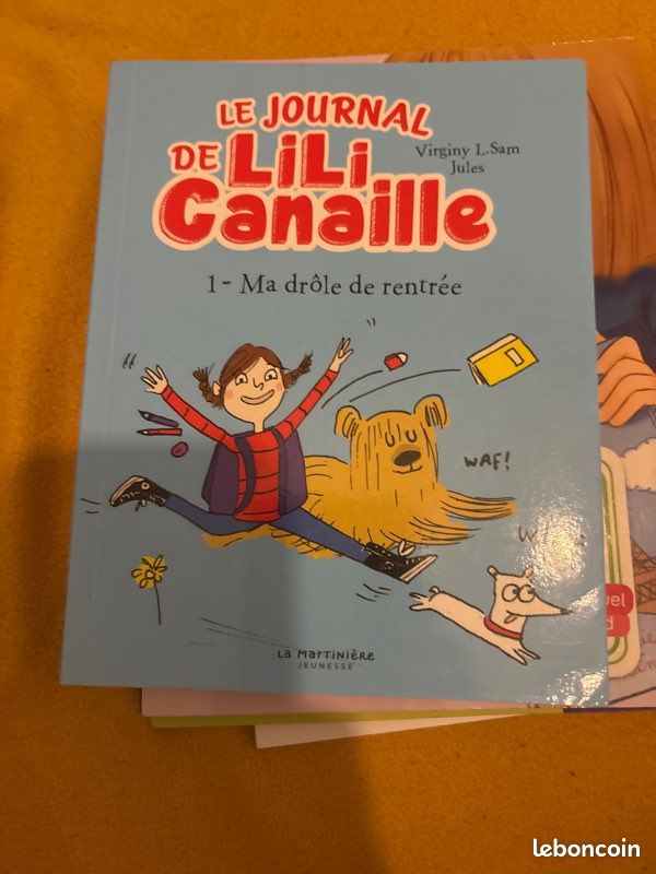 Livre le journal de Lili canaille 1 (image 2)