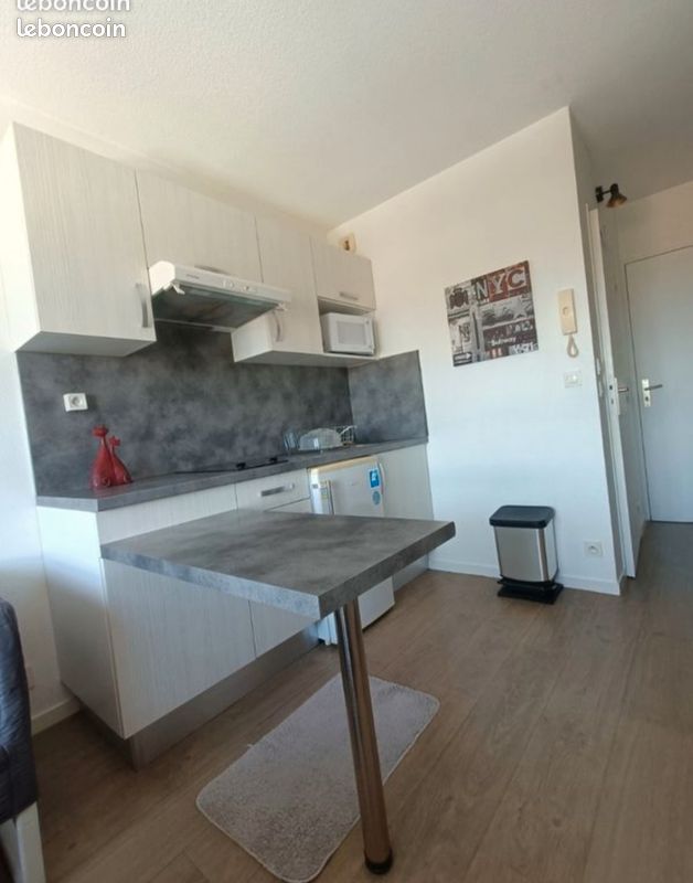 Appartement 1 pièce 18 m² · à Pau · 18 m² · 430 €
